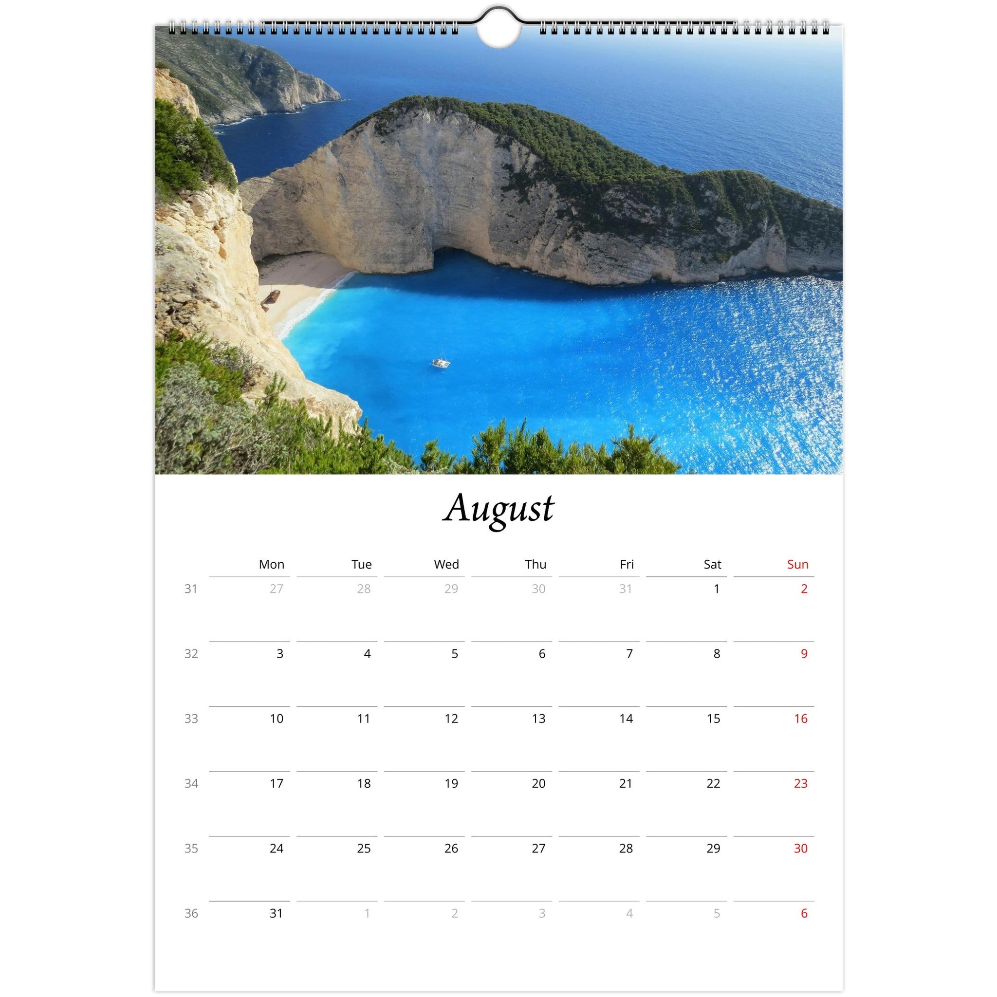 98cff89c-cdb2-4a89-bba5-38027f9c450d