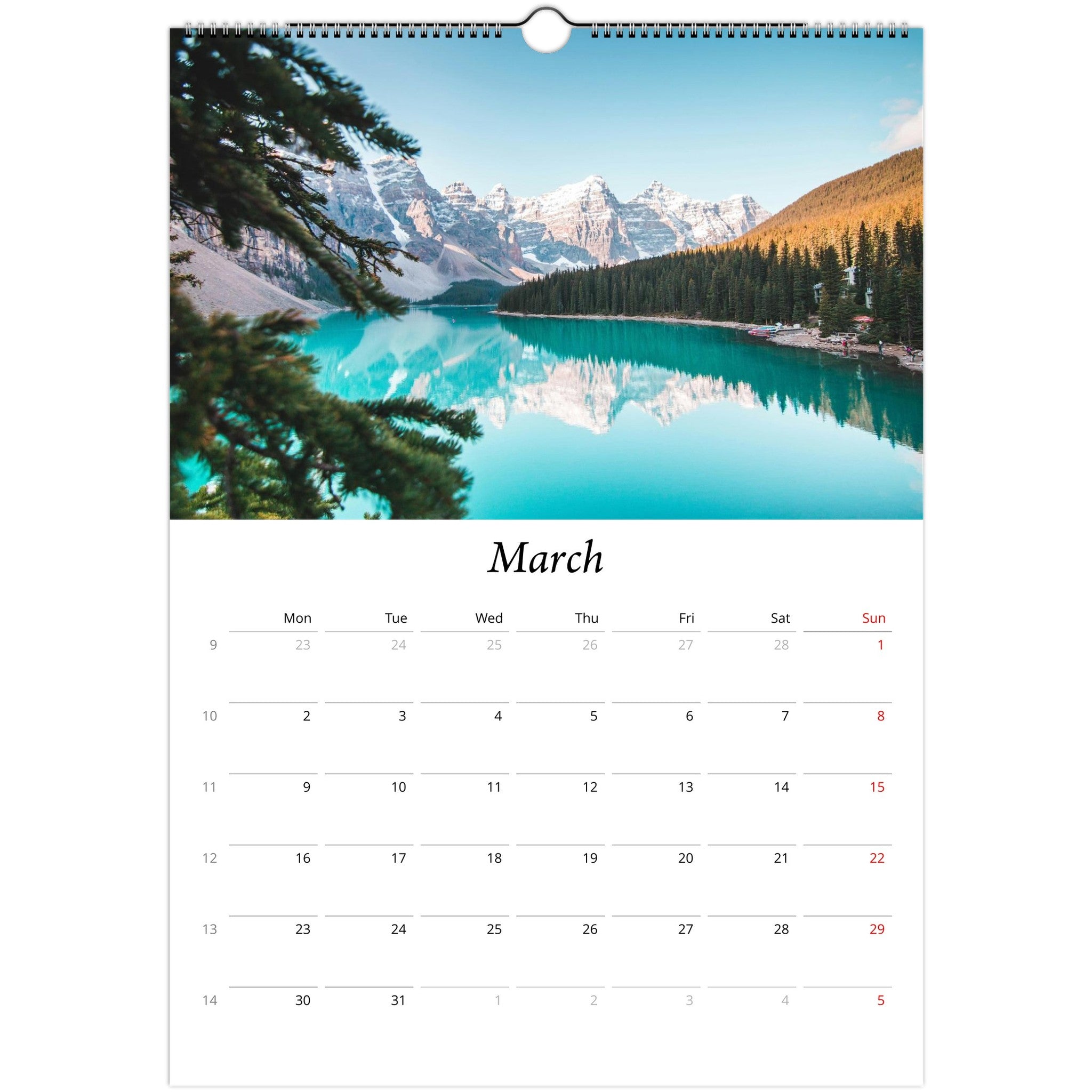 c48ba0eb-012b-4a1a-a91d-32aa2d7ca5d4